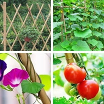 2' x 5/16'', 1000pcs, bamboo stake