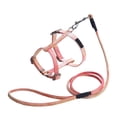 thumbnail image 2 of EGNMCR Série Dégradée Harnais de Poitrine pour Animaux de Compagnie Réglable Laisse Anti-Déchirable Laisse de Marche Extérieure Laisse de Sécurité en polyester Pet Leash Ensemble, 2 of 6