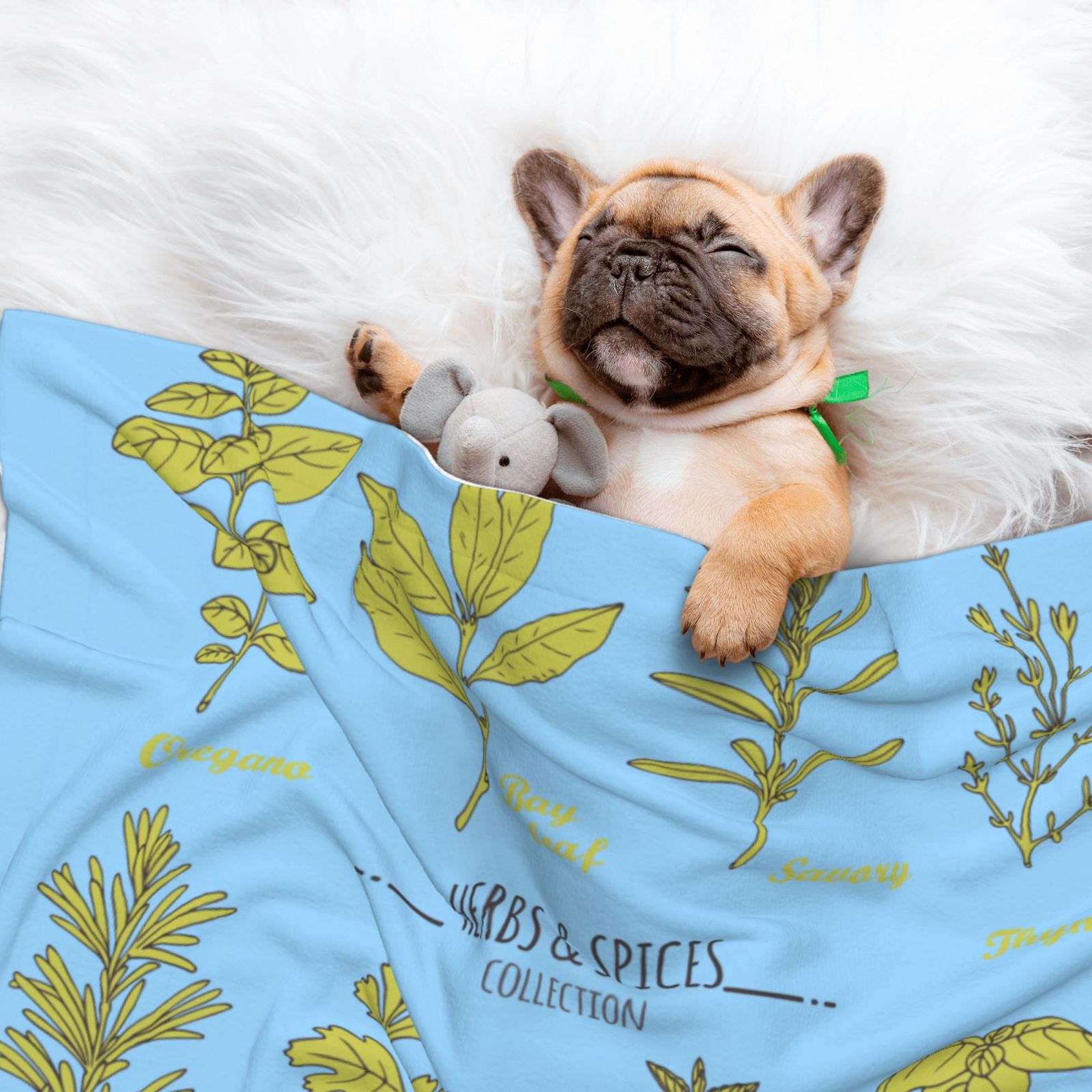 Naloa Herbs and Spices Dog Blanket, 3 Sizes Cat Blanket for Indoor Cats Large Medium Small Dog Gifts-Medium