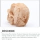 thumbnail image 3 of Injueey Acuario decoración paisajismo cabeza hueso cueva ornamento acuático Artificial Horror espeluznante decorativo pecera caja Prop Kits de decoración para fiestas Injueey HA069210-00B, 3 of 6