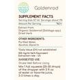 thumbnail image 2 of Goldenrod Alcohol Herbal Extract Tincture, Super-Concentrated Organic Goldenrod (Solidago spp.) Dried Herb 4 oz, 2 of 7