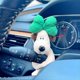 thumbnail image 1 of Dog Car Ornaments, Car Dash for Car Interior Dashboard Ornament, Car Turn Signal Wiper Decoration for Car Vehicle Decoration, 1 of 2