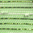 thumbnail image 2 of 10.5" Metallic Cotton Ball Mesh Ribbon: Lime Green/White (10 Yards), 2 of 3