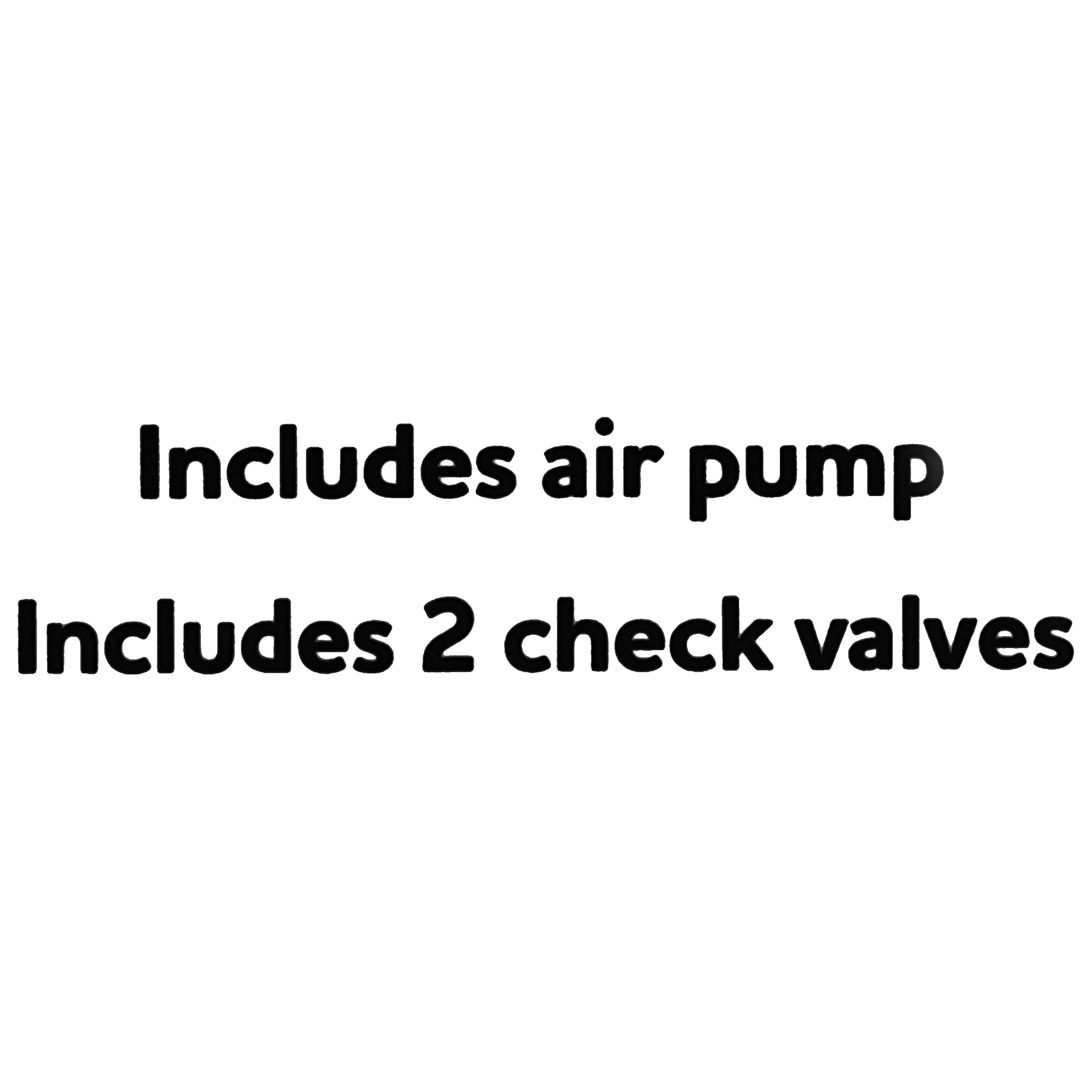 Vibrant Life 2800 CC Double Outlet Aquarium Air Pump, for 20-60 Gallon Tanks