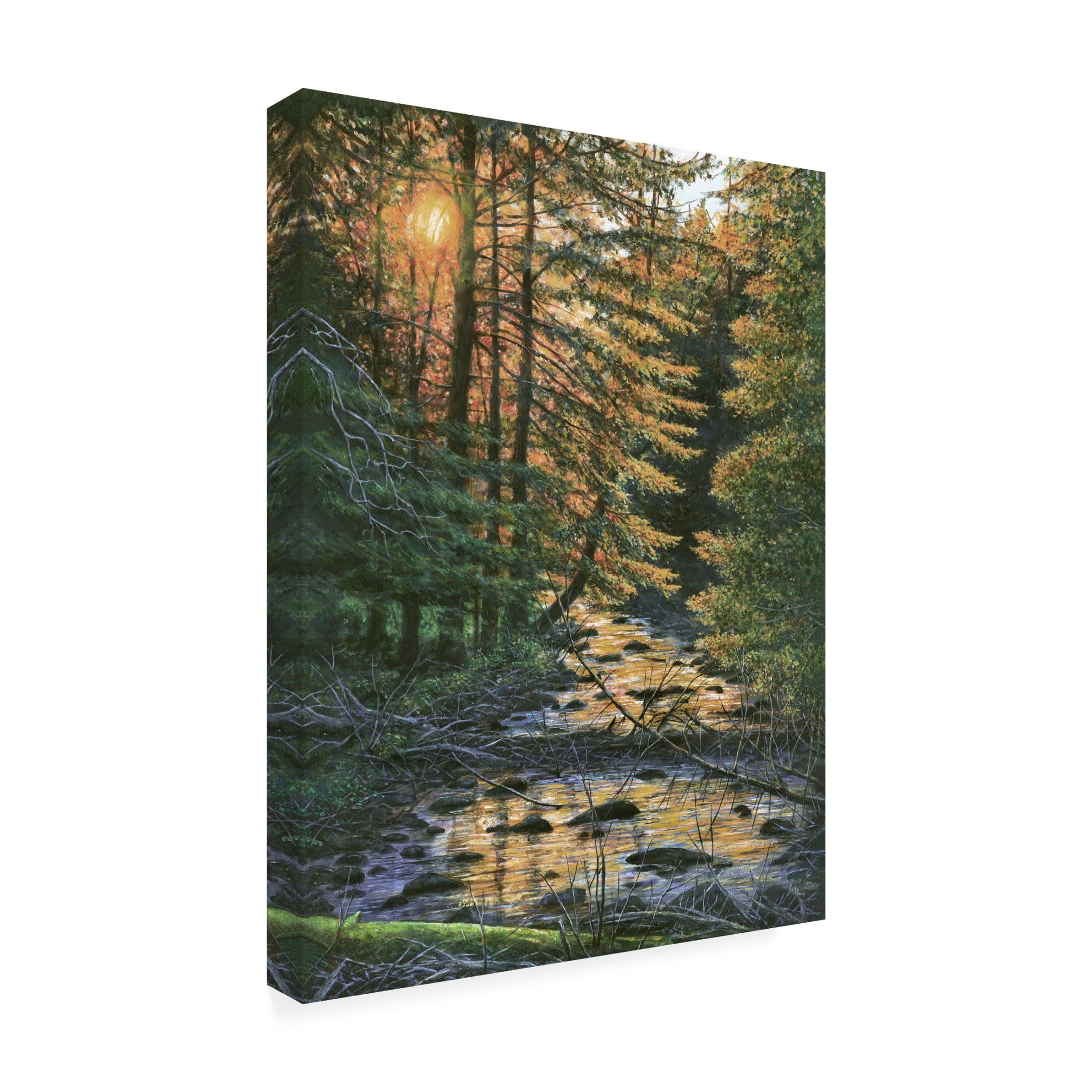 Canvas Wall Art - John Morrow 'A Branch of Cold Brook' Wall Art for Living Room, Bedroom, or Office Décor by Trademark Fine Art - 14 x 19 Inches