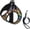 Retro Black Rainbow Flowers, variant on Retro Black Rainbow Flowers Dog Harness and Leash Set, No Pull Reflective Adjustable Soft Mesh Padded Pet Vest with Safety Buckle for Small Medium Dogs and Cats Large