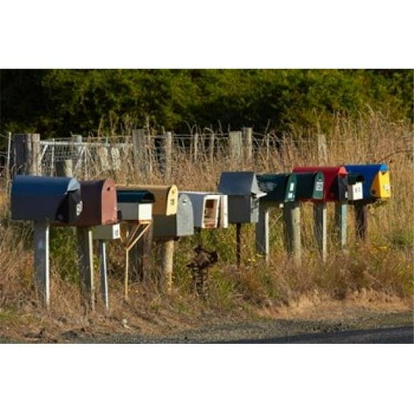 Posterazzi PDDAU02DWA6988 Rural Letterboxes Otago Peninsula Dunedin South Island New Zealand Poster Print by David Wall