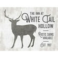 thumbnail image 3 of Lettered And Lined 14x12 Black Modern Framed Museum Art Print Titled - White Tail Hollow, 3 of 5