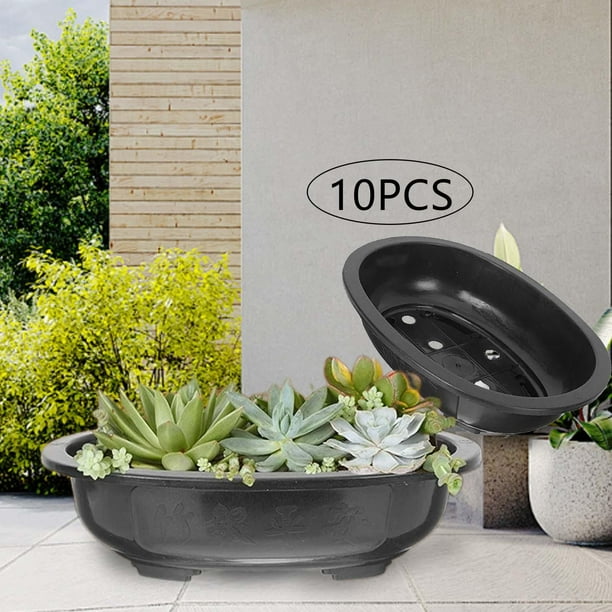 10 piezas de macetas de entrenamiento de bonsái, maceta ovalada para bonsái, contenedores para plantas, macetas para plantar bonsái para exteriores, 310mmx240mmx85mm