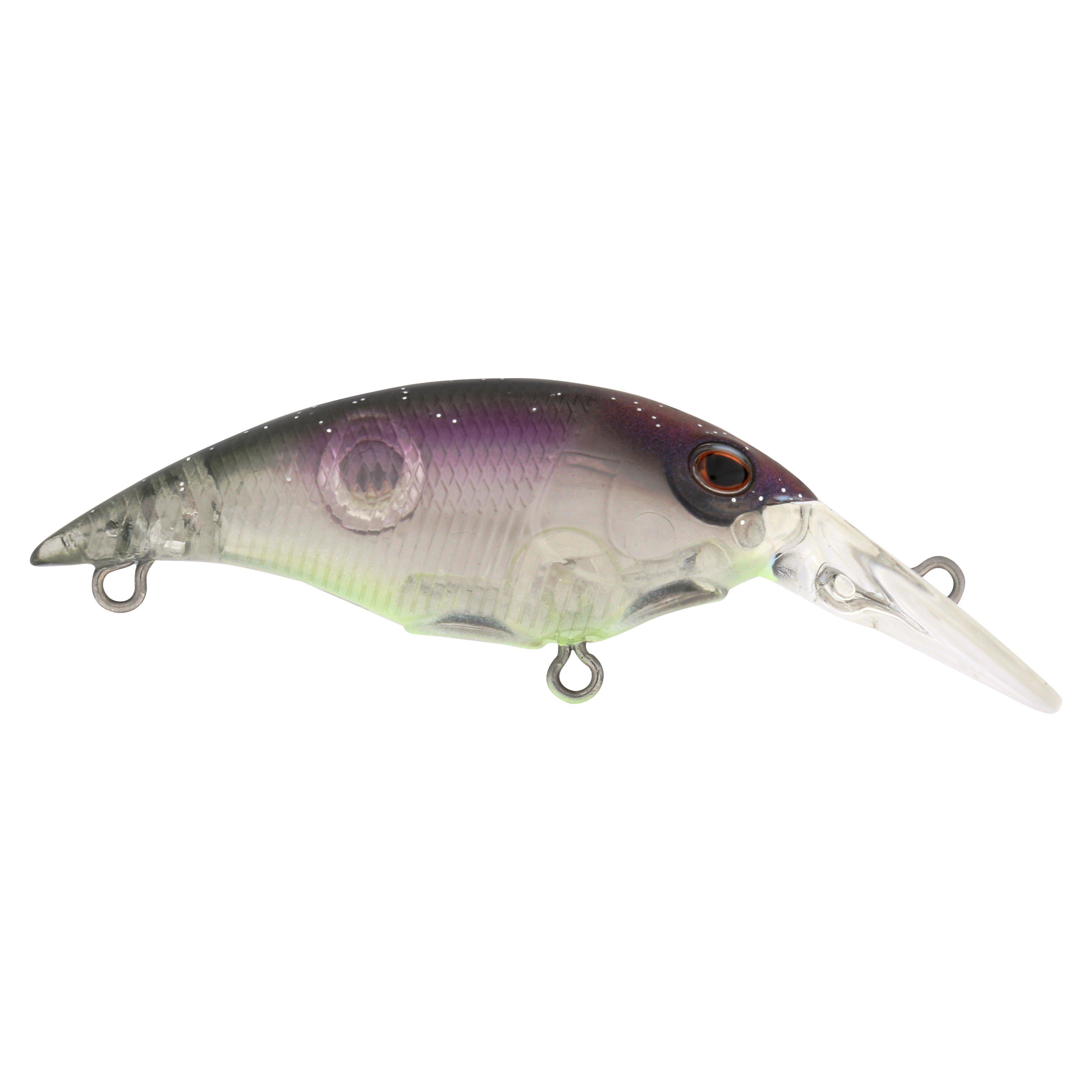 Berkley Money Badger, 4, Northern Lights