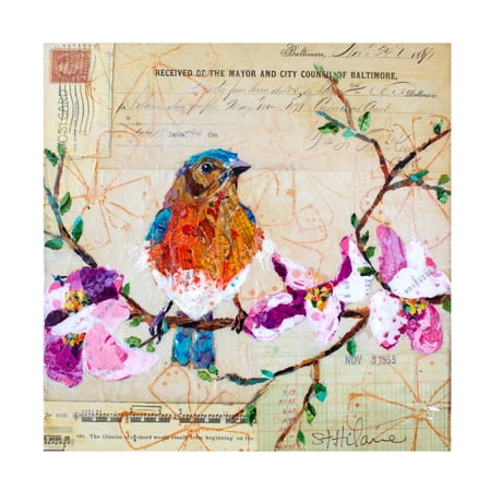 Elizabeth St. Hilaire 'Happy Bird V' Canvas Art