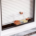 thumbnail image 2 of pitrice Acrylic Clear Window Bird Feeder Strong Suction Cups Easy To Remove Tray Bird Feeder For Window, 2 of 6