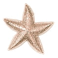 thumbnail image 1 of 14K Rose Gold Starfish Pendant - 30 mm, 1 of 3