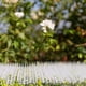 thumbnail image 4 of Estera repelente de gatos con púas, tiras de espinas, repelente de plagas para gatos, estera disuasoria Compatible con jardín al aire libre, 4 of 5