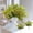 Yellow, variant on Set of 2 Artificial Plants 13.8in Variegated Foliage Bush Red Yellow Green Leaves Plastic Sprigs Home Kitchen Wedding Party Garden Decor