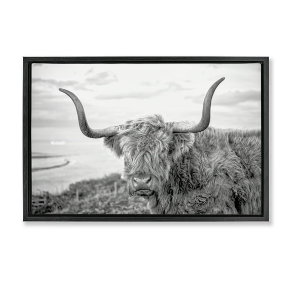 Stupell Industries Traditional Fuzzy Cattle Animals & Insects Photography Black Floater Framed Canvas Art Print Wall Art, 25 x 17