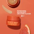 thumbnail image 4 of Mascarilla para dormir para labios Burt's Bees Moonlight Orchard 13 ml, 4 of 9