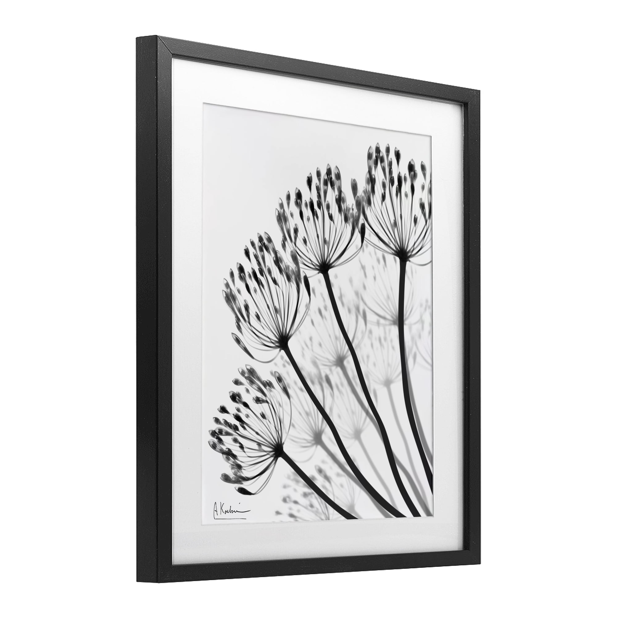 Stupell Industries Floral Fan Dandelions Black Framed Print Under Glass, design by Albert Koetsier