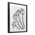 thumbnail image 2 of Stupell Industries Contemporary Floral Fan Dandelions Black Framed Print Under Glass, 13 x 16, by Albert Koetsier, 2 of 8