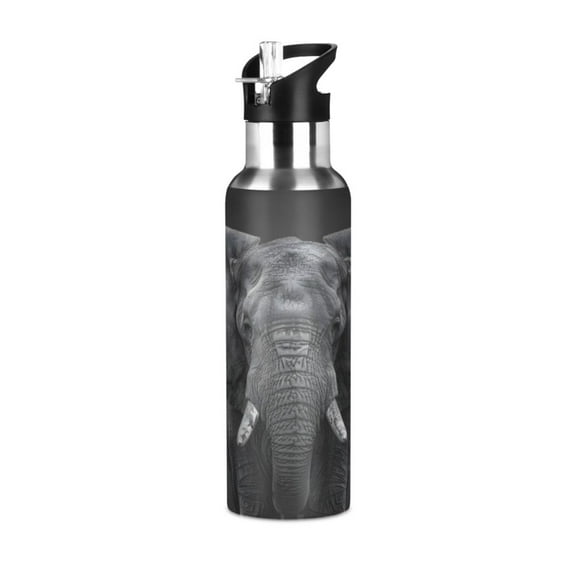 ALAZA African Elephant Water Bottle Insulated Flask Stainless Steel Straw Lid 20 oz