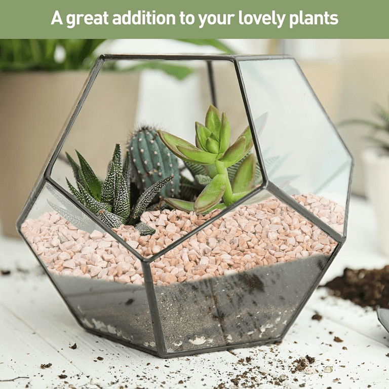 snake plant pot Snake Plant – Foli main image 1