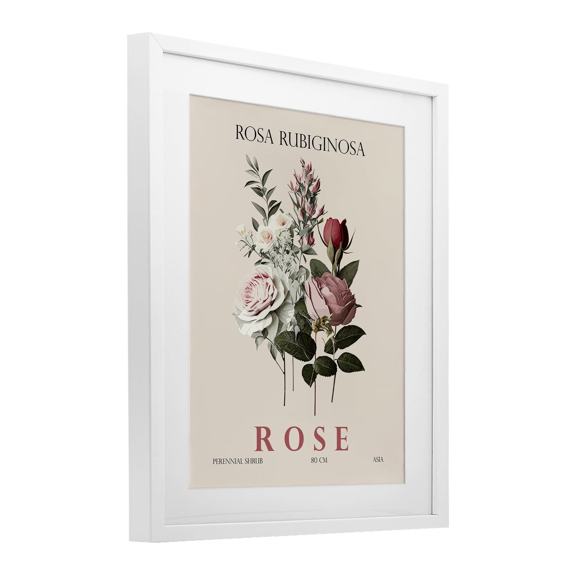 Stupell Industries Natural Rose Bundle White Framed Print Under Glass, design by Christopher Giampietro