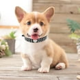 Cute Dog Collar with Cat Joint Bling Rhinestones Diamond Leather Dog