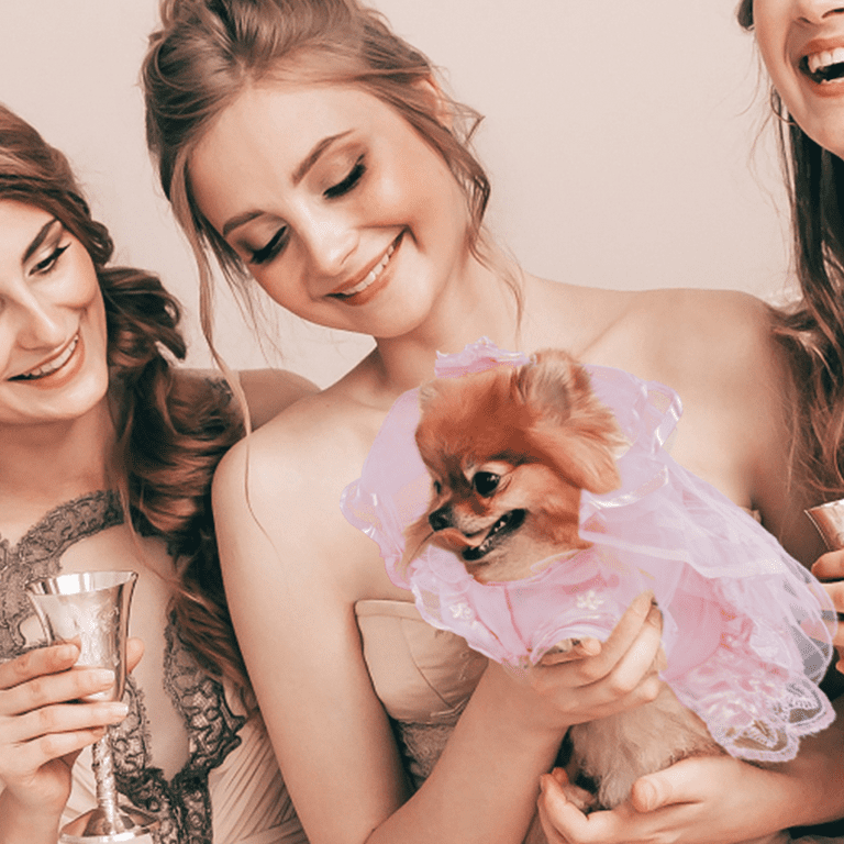 QBLEEV Dog wedding Dress for Bride Formal Pink Wedding Skirt