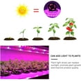 thumbnail image 2 of LINLIN 5V USB LED Grow Light Waterproof Full Spectrum Plant Light Flexible LED Strip light Phyto Lamp for Vegetable Flower Seedling Grow Tent, 2 of 8