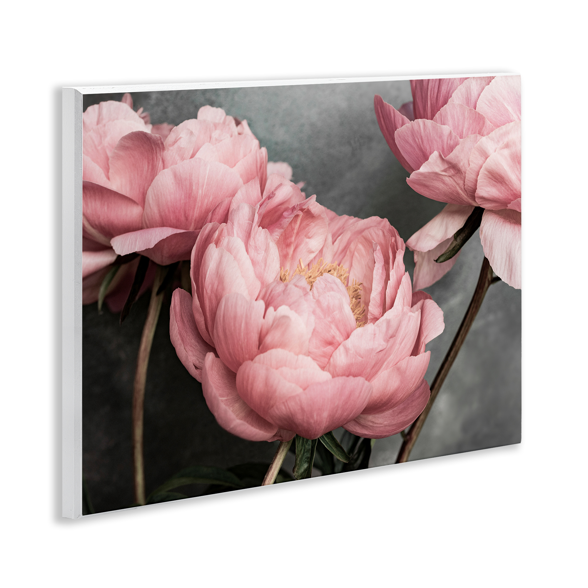 Stupell Industries Pink Peonies Trio Plants & Flowers Painting Unframed Art Print Wall Art, 14 x 11