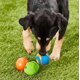 thumbnail image 3 of Pelota para Perros Chuckit! Mediana Ultra y Rugerizada Pack de 3, 3 of 3