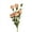 Champagne, variant on Walbest 1 Branch Artificial Rose Flower 8 Heads Charming Wedding Fake Rose Flower with Stem Home Party Supplies