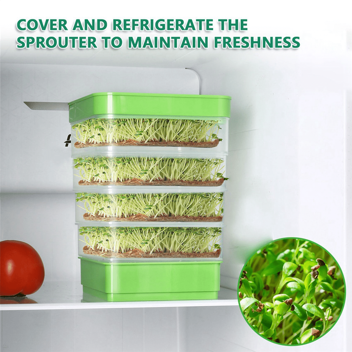 2X Bean Seed Germination Kit, Micro-Green Plant Growing Tray, Drain Four-Tier Stackable Sprout Kit