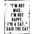 thumbnail image 2 of Villa, Milli 19x24 White Modern Wood Framed Museum Art Print Titled - Said The Cat, 2 of 4