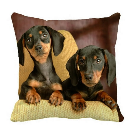 - ZKGK Dachshund Pillowcase Home Decor Pillow Cover Case Cushion Two Sides 18x18 Inches
