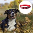 thumbnail image 3 of Translucent reflective waterproof dog collar strong coated nylon webbing with black hardware, 3 of 5