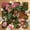 Color 1, variant on Mahjong Mat 31.5" x 31.5" Winter Woodland Christmas Frame Snowy Pine Trees Deer Red Non-Slip Noise Reduction American Mahjong Tiles Table Cover for Dominoes Poker Card Board Games Gift