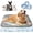 Dark Gray, variant on ChillPaws Cooling Mat for Dogs, Washable Non-Gel Pet Cooling Pad, Soft Foldable Summer Cool Mat with Non-Slip Bottom for Bed, Crate, Sofa, Indoor and Outdoor Use