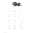 thumbnail image 2 of SP Manufacturing AFTERMARKET Coleman Replacement Cooler Hinges + Stainless Screws  Replaces Part#'s: 3000005298 5256-1851 5283-1141 6262-1141 (TWELVE Pack), 2 of 4