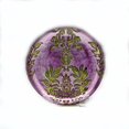 thumbnail image 1 of Assiette de 8,5 Pouces Vert Violet - Lot de 4, 1 of 1