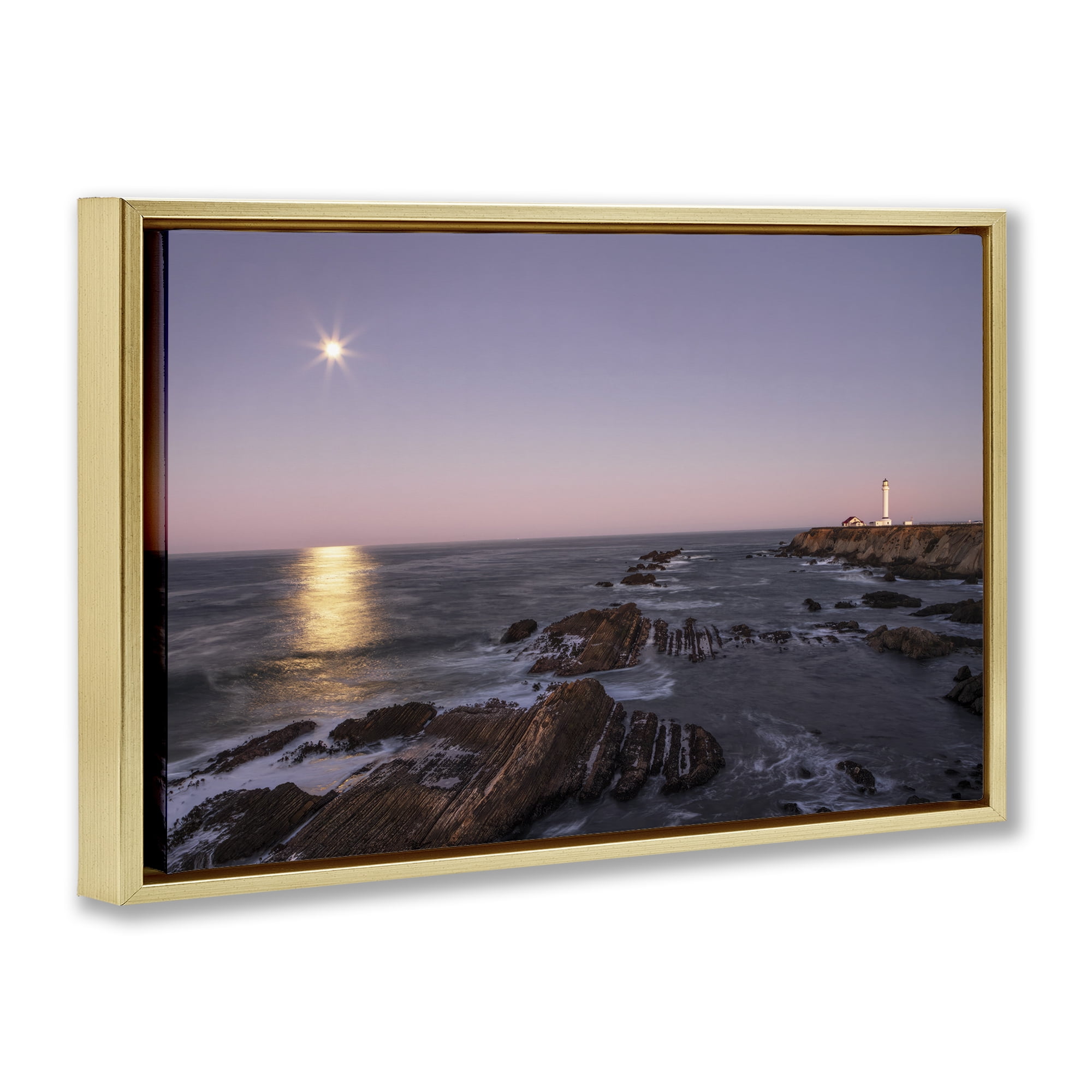 Stupell Industries Moon Arena Coastline Gold Framed Floater Canvas Wall Art, design by Shelley Carlisle