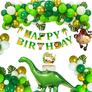 Dinosaur Birthday Party Supplies Kit For Boys, Dinosaur Party
