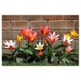 thumbnail image 1 of Flowers Ceramic Tile Mural Kitchen Backsplash Bathroom Shower, 402403-S64, 1 of 9