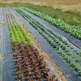 thumbnail image 3 of EastVita 4Ftx250Ft Landscape Weed Barrier Fabric, Weed Control Fabric, 3 of 8