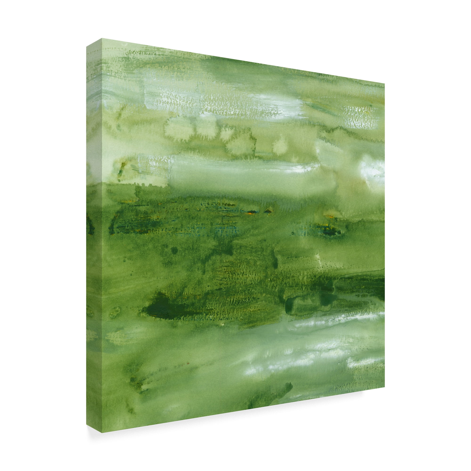 Trademark Fine Art 'Malachite I' Canvas Art by Lisa Choate