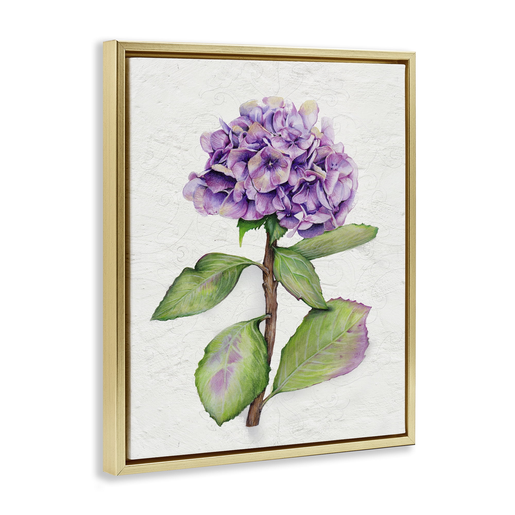 Stupell Industries European Style Hydrangea Botanical & Floral Painting Gold Floater Framed Canvas Art Print Wall Art, 25 x 31