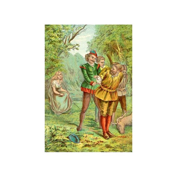 Robin hood reflection image