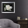 thumbnail image 3 of Trademark Fine Art 'Lovely Gardenia' Canvas Art by Kurt Shaffer, 3 of 4