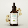 HerbEra Lion's Mane Tincture, Herbal Dietary Supplement for Cognitive Support, Lion's Mane (Hericium erinaceus) Dried Mushroom Extract, Natural, Alcohol-Free, Drops 4 oz