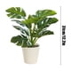 thumbnail image 3 of Plantas artificiales de Monstera Deliciosa en maceta | Decoración con suculentas artificiales, 3 of 6